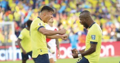 La Tri convocó a 28 futbolistas para la doble fecha FIFA de junio, en la que enfrentará a Brasil, en Guayaquil, y Perú, en Lima.