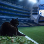 Emelec adoptó al gato que le dio suerte