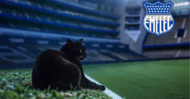 Emelec adoptó al gato que le dio suerte