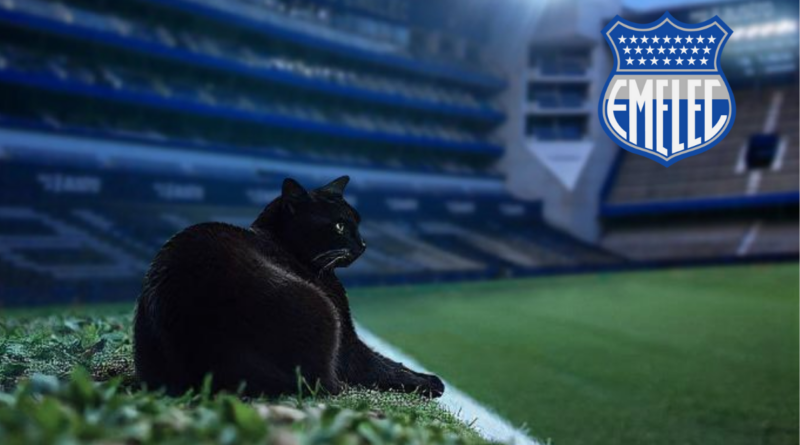 Emelec adoptó al gato que le dio suerte