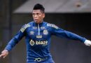 Billy Arce no la pasa nada bien en el fútbol brasileño pese a que su club (Santos FC) regresó a Primera División.