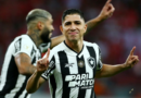 Botafogo se corona campeón del Brasileirao 2024