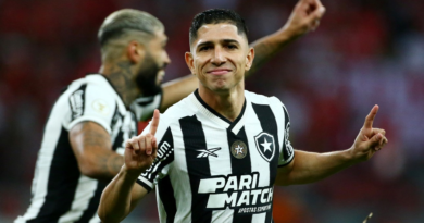 Botafogo se corona campeón del Brasileirao 2024