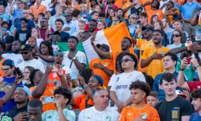 Hinchada de Costa de Marfil en el amistoso ante Francia. Foto: Selección de Costa de Marfil